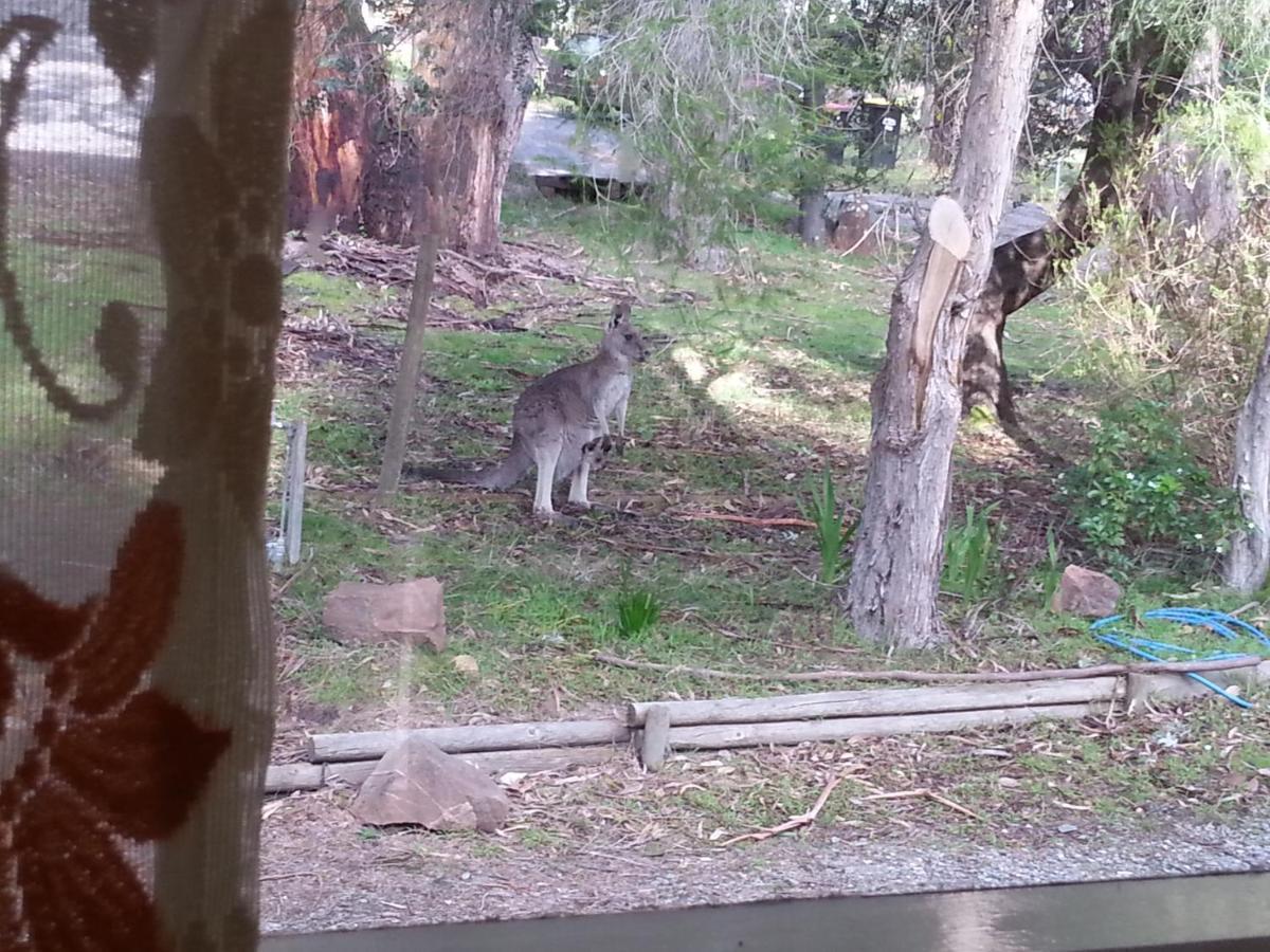 Grampians Nest